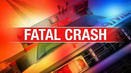 Elderly woman dies in traffic accident