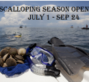 Scallop Season